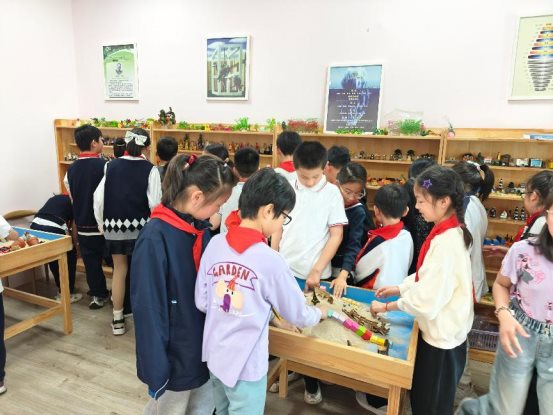 IMG20250416110819